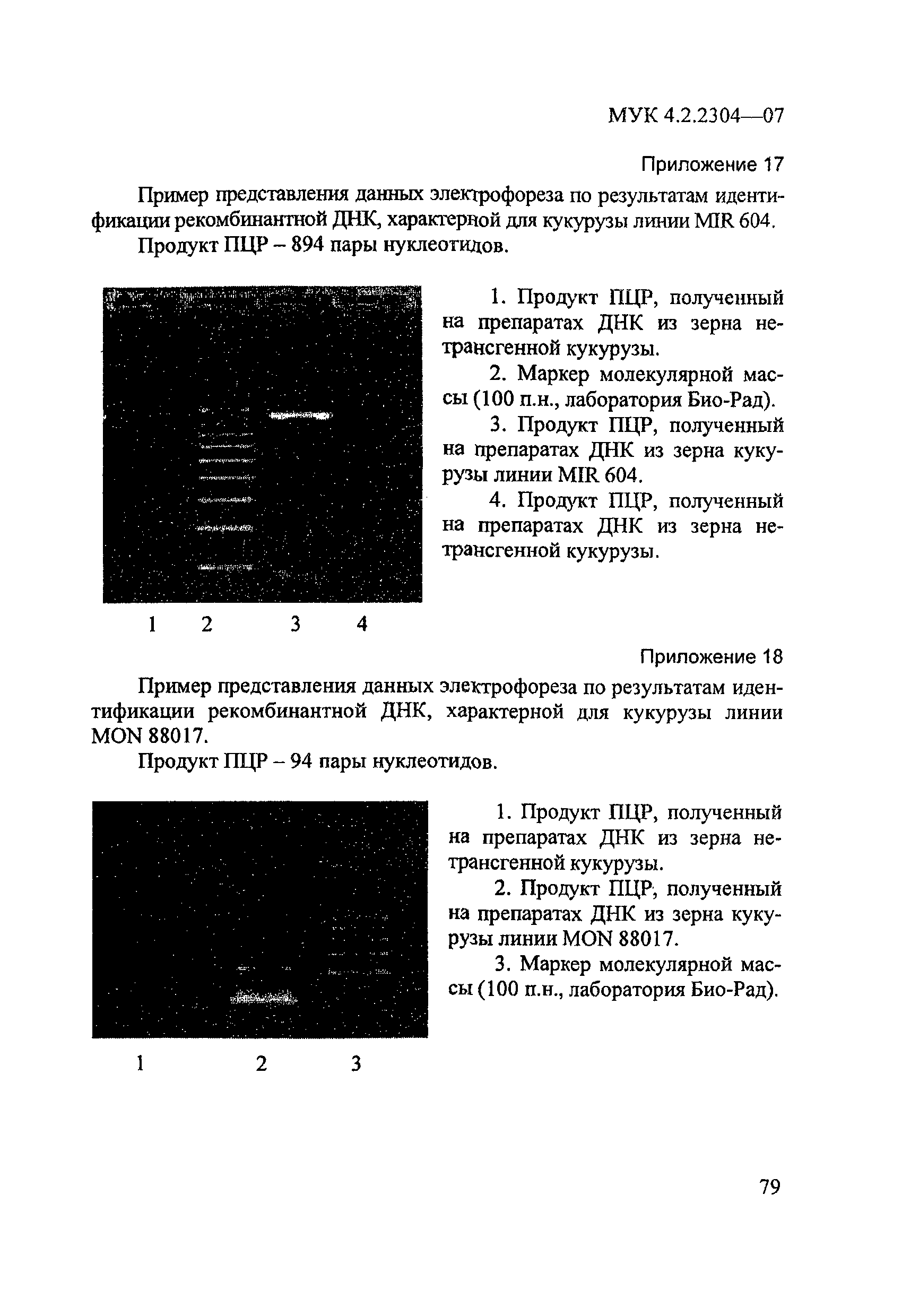 МУК 4.2.2304-07